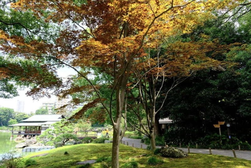 Tokyo Tour: Imperial Palace, Sake, Robots, Gardens & Museum - Who Should Consider This Tour?