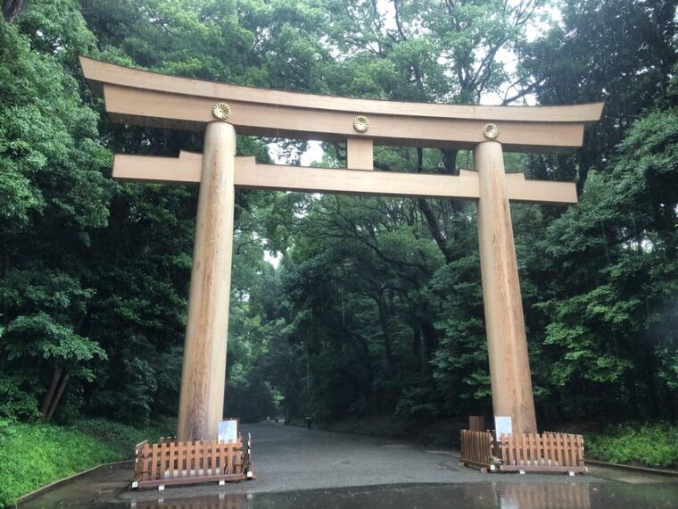 tokyo-tour-in-spanish-shibuya-harajuku-shinjuku