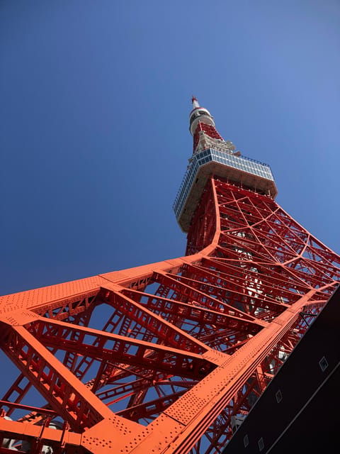 tokyo-tours-in-spanish-tsukiji-market-ginza-tokyo-tower