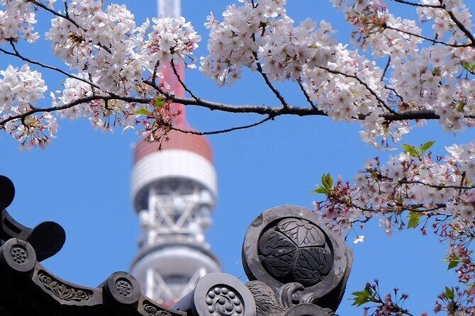 Tokyo Tower Adventure 60 Minute Scenic Rickshaw Ride - The value of this rickshaw experience