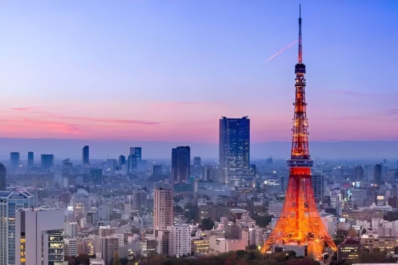 Tokyo Tower: Entry Ticket & Private Hotel Pickup Service - Pricing and Value