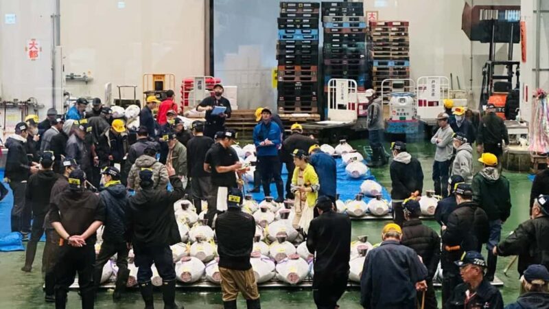 Tokyo: Toyosu Tuna Auction &Tsukiji Market Gourmet Adventure - FAQ