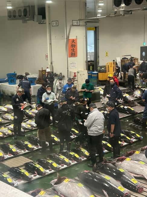 Tokyo Toyosu Tuna Auction w Dealer + Sushi (Standard to VIP) - FAQ