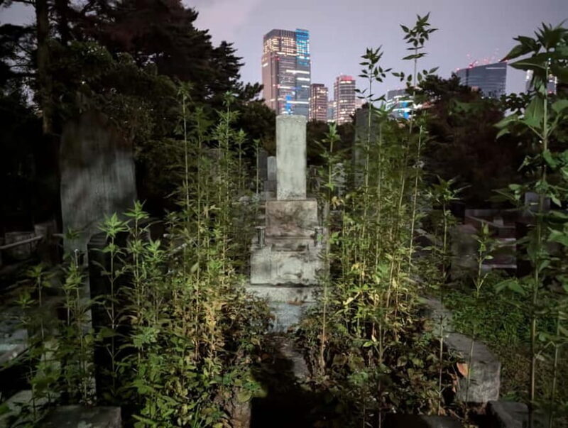 Tokyo: True Crime And Ghost Stories Tour - Who Is This Tour Best Suited For?
