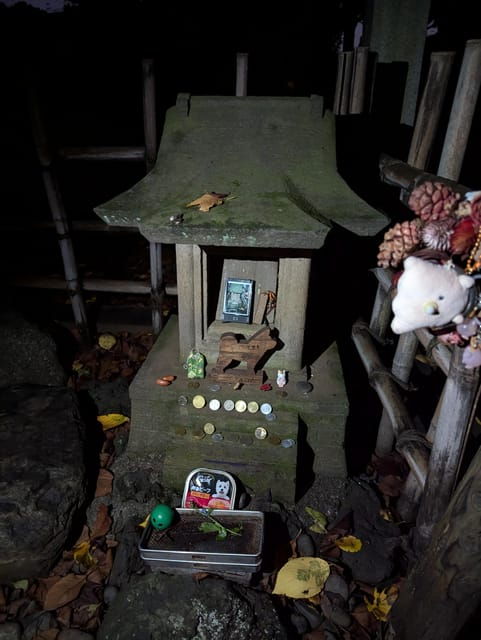 tokyo-true-crime-and-ghosts-night-tour-3-hours