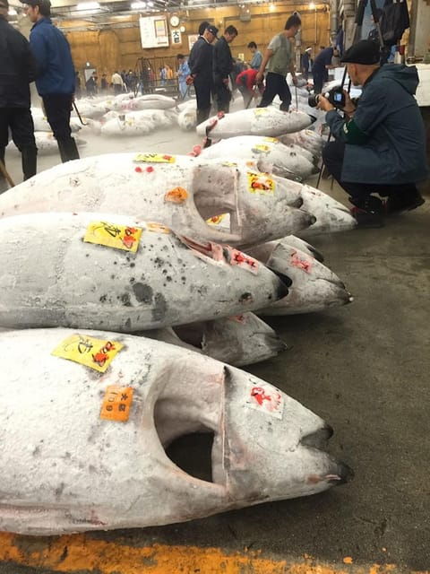 tokyo-tsukiji-fish-market-foodie-and-educational-tour