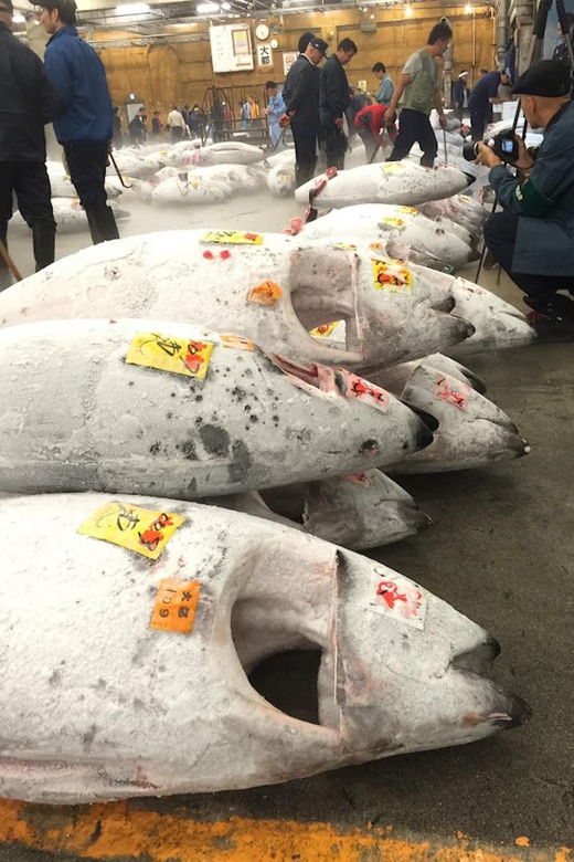 tokyo-tsukiji-fish-market-foodie-and-educational-tour