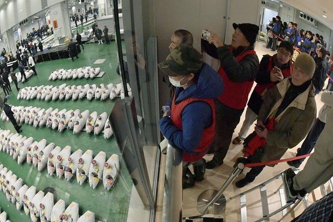 tokyo-tsukiji-food-culture-4hr-private-tour-with-licensed-guide