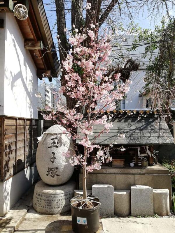 Tokyo: Tsukiji Market Tour with Huge crab Photo by insider - Frequently Asked Questions