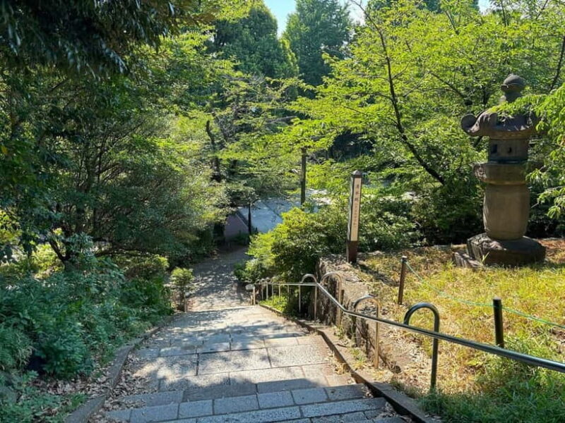 Tokyo: Ueno Park and Ameyoko Street Walking Tour - Exploring Ueno: A Walk Through History and Nature