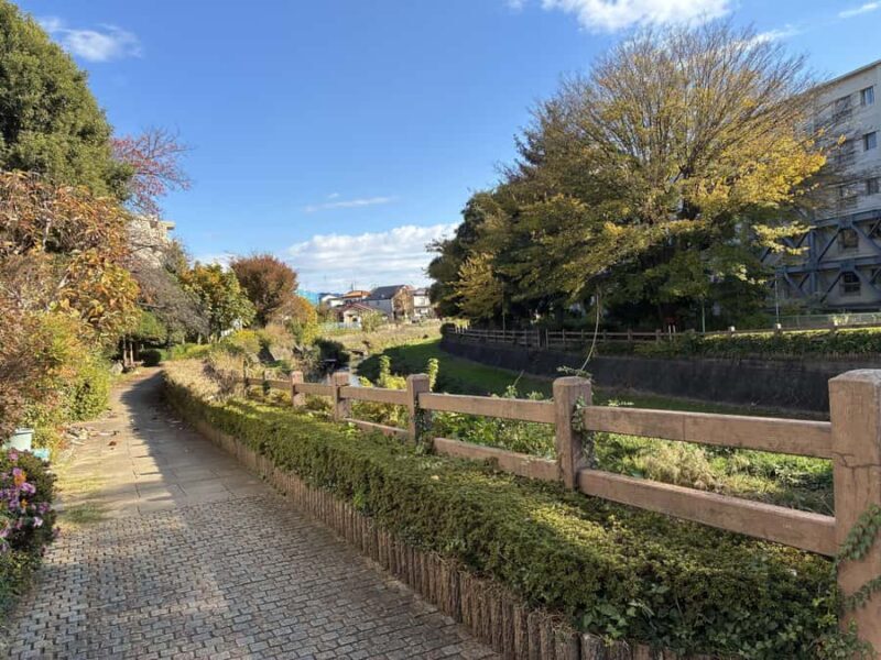 Tokyo: Ultimate Spa Japon Retreat & Kurome River Stroll - Who Should Consider This Tour?