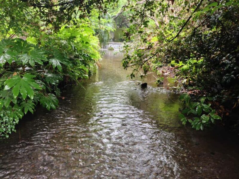 Tokyo: Ultimate Spa Japon Retreat & Kurome River Stroll - FAQ