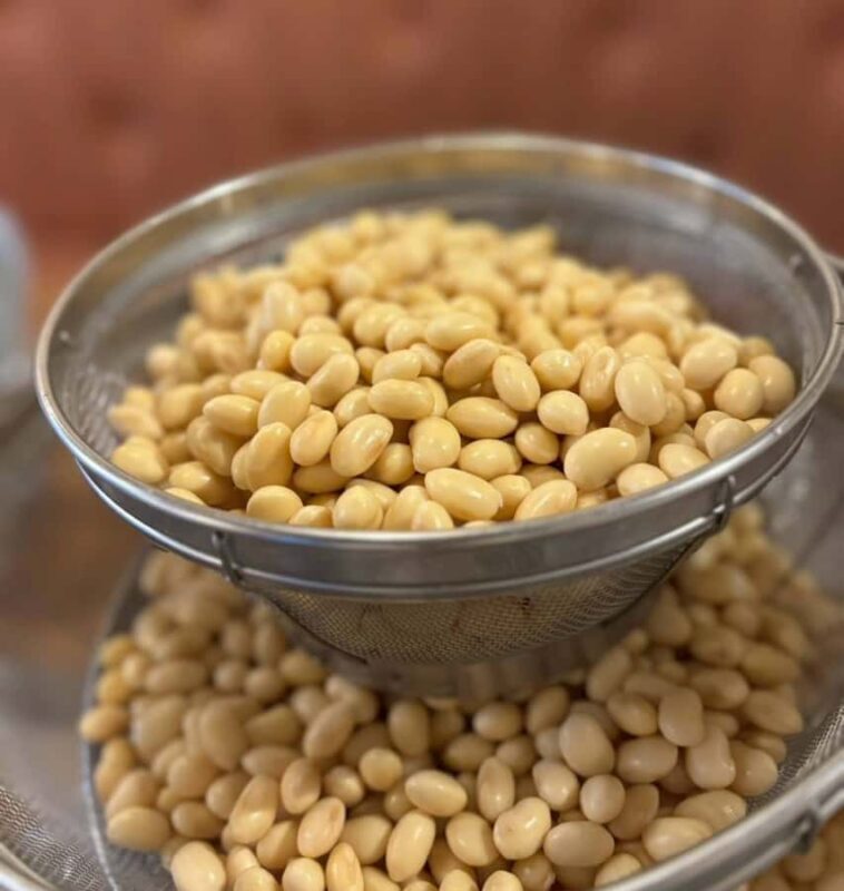 Tokyo Vegan: Tofu - Making Class from a Historic Tofu Shop - How It Compares to Similar Experiences