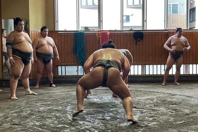 Tokyo: Visit Sumo Morning Practice with English Guide - Detailed Review of the Sumo Practice Tour