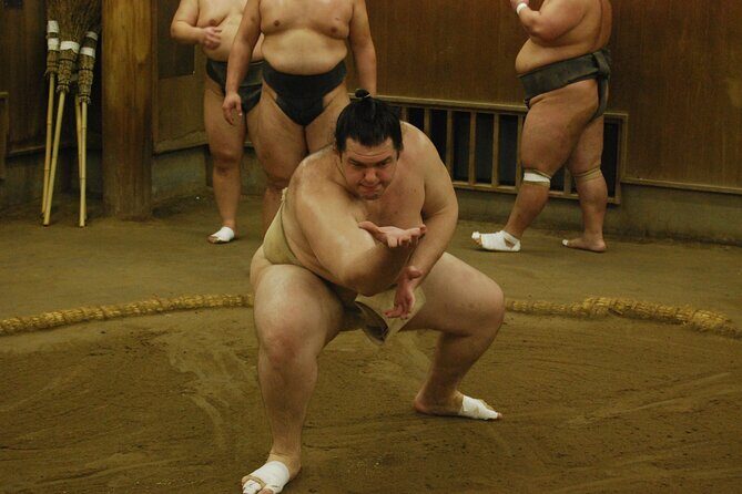 Tokyo: Visit To Sumo Stable & Watch Morning Practice - Value for Money