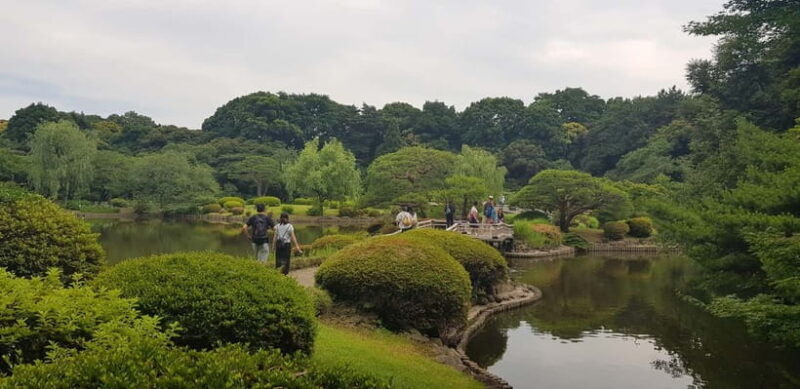 Tokyo Walk through: Shinjuku, Harajuku, Omotesando & Shibuya - Introduction: Why This Tour Stands Out