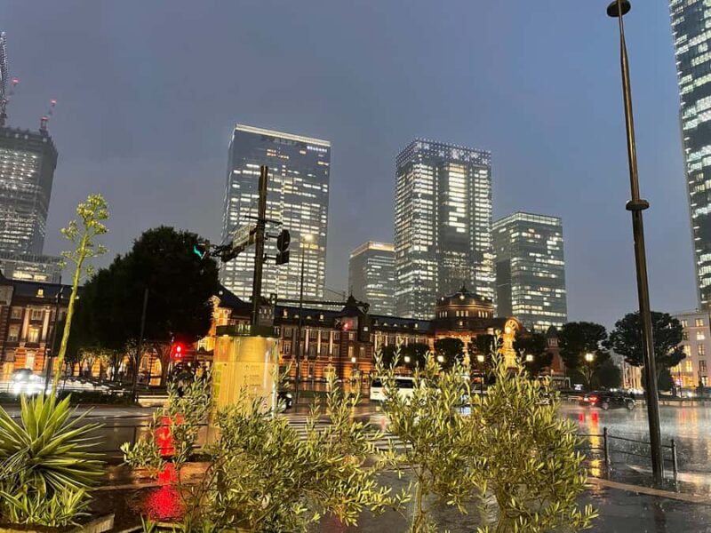 Tokyo: Walking City Highlights Tour with Spanish Guide - Final Words: Who Will Love This Tour?