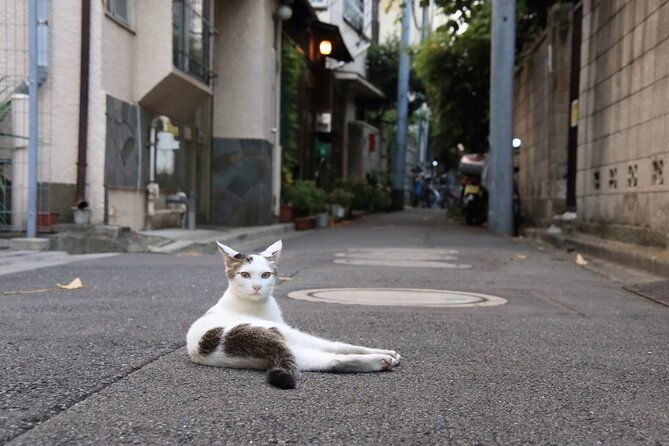 tokyo-walking-tour-of-historic-shopping-streets-yanaka