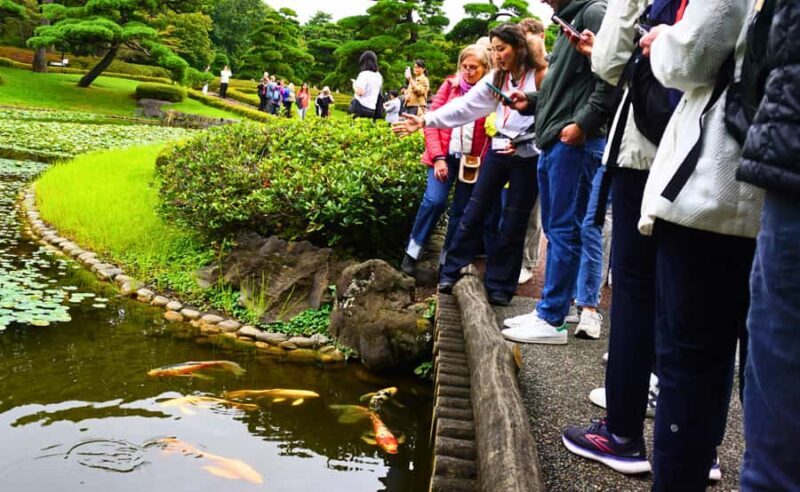 Tokyo: Walking Tour of the Imperial Palace, Shoguns, and Garden - Why This Tour Offers Great Value
