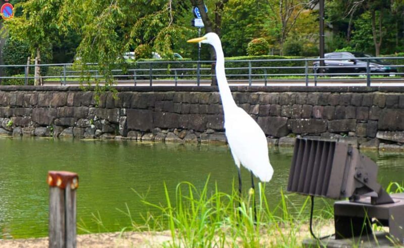 Tokyo: Walking Tour of the Imperial Palace, Shoguns, and Garden - What You Should Know Before Booking