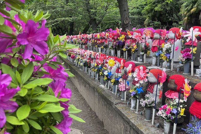tokyo-walking-tour-sumo-sushi-tea-temples-and-tokyo-tower