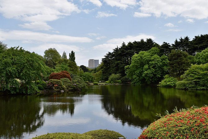 tokyo-walking-tour-with-professional-guide