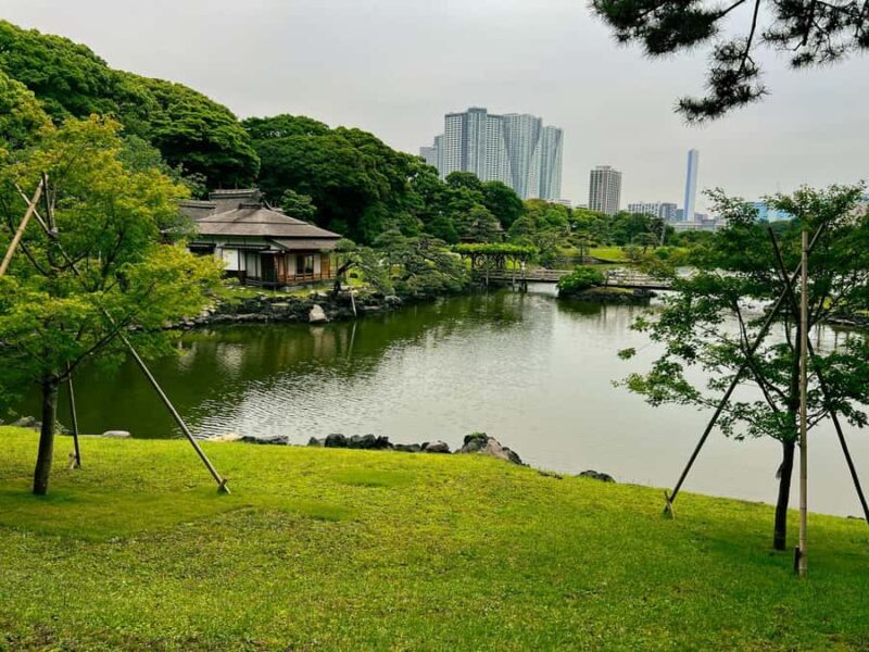 Tokyo Waterfront Tour: Tsukiji Market & Bay Area 3.5 Hrs - What Makes This Tour Stand Out?