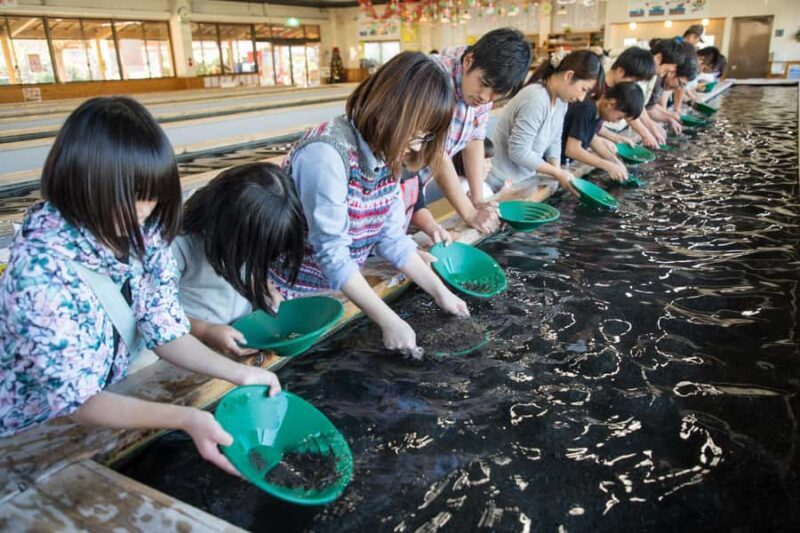 Tokyo: West Izu Day Trip - An In-Depth Look at the West Izu Day Trip