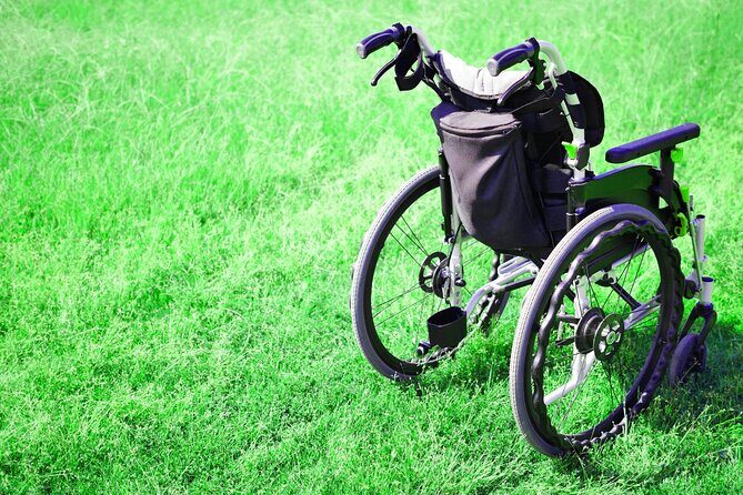 Tokyo Wheelchair-Friendly Custom Day Tour: Asakusa, Tsukiji - Real Experiences from Past Participants