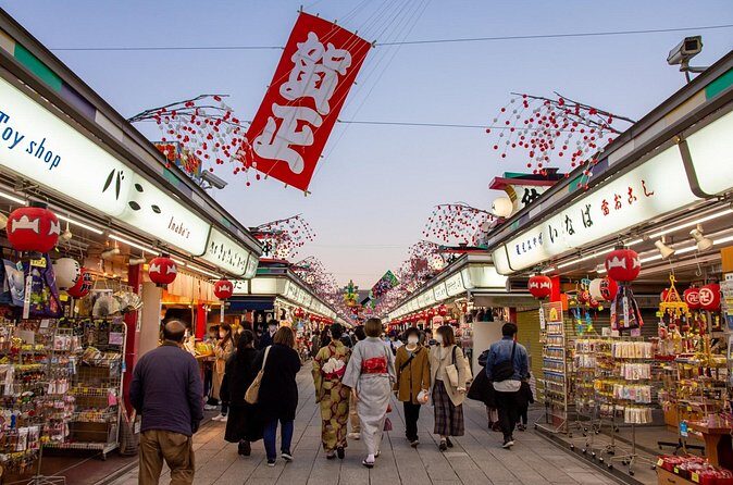 Tokyo Wheelchair-Friendly Custom Day Tour: Asakusa, Tsukiji - Pricing Analysis: Is It Worth It?