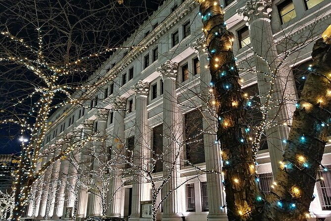 tokyo-winter-illumination-ebike-tour