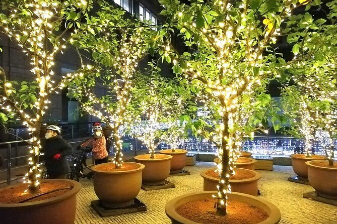 tokyo-winter-illumination-ebike-tour