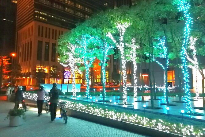 tokyo-winter-illumination-ebike-tour