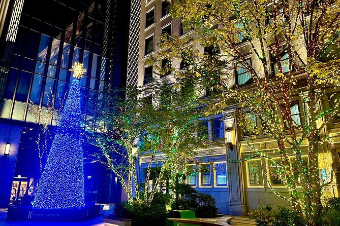 tokyo-winter-illumination-ebike-tour