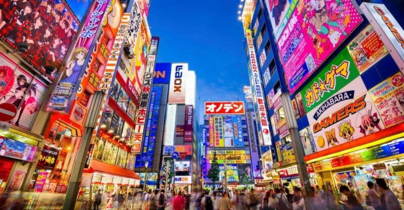 tokyo-winter-illuminations-private-tour-with-a-local