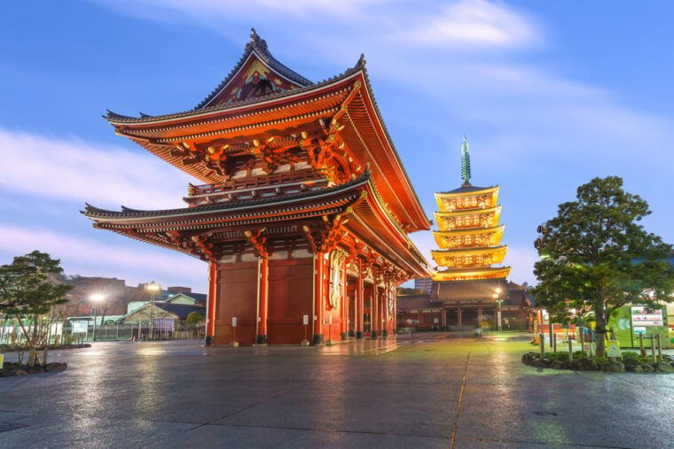 tokyo-winter-illuminations-private-tour-with-a-local