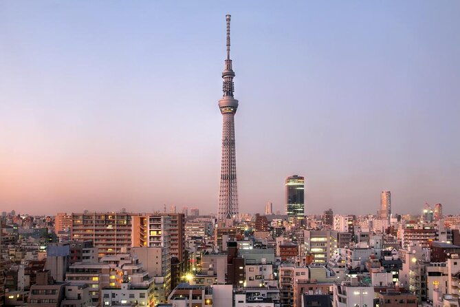 tokyo-yakatabune-private-lunch-dinner-cruise