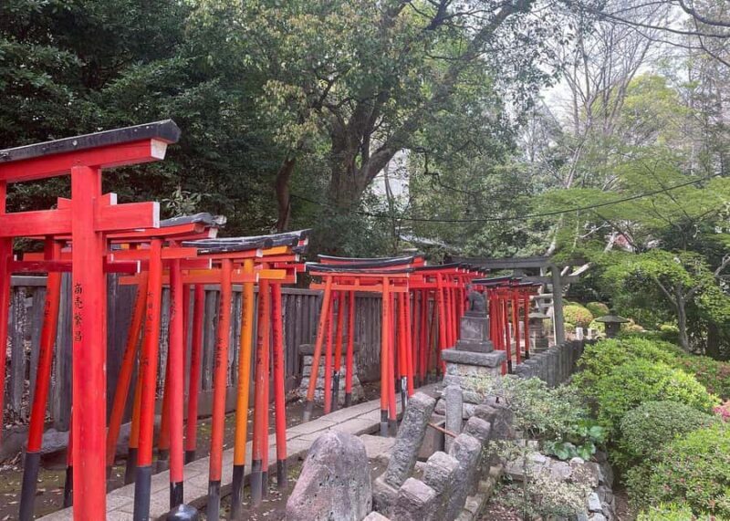 Tokyo: Yanaka and Ueno Walking Tour with Beer - Key Points