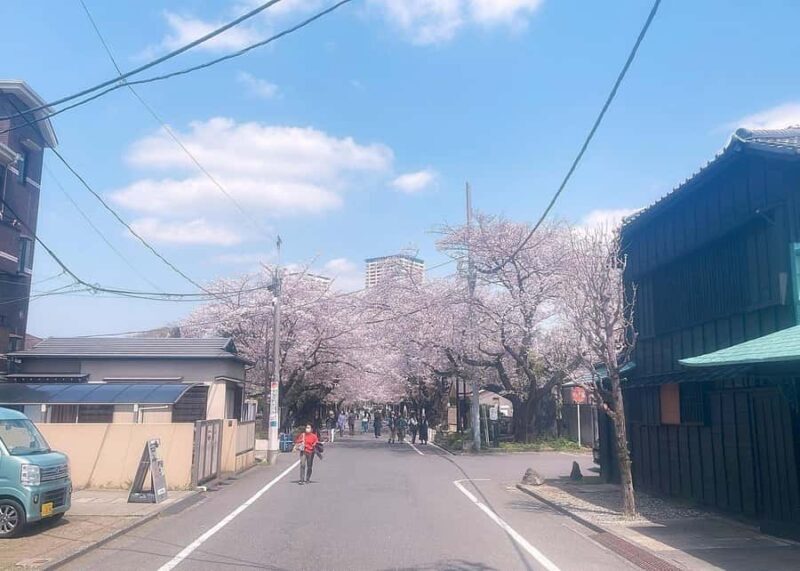 Tokyo: Yanaka and Ueno Walking Tour with Beer - Tranquil Temples and Cemeteries