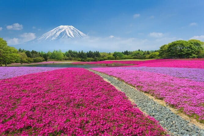 Tokyo: Yokohama Day and Night Tour with English Speaking Driver - Final Thoughts