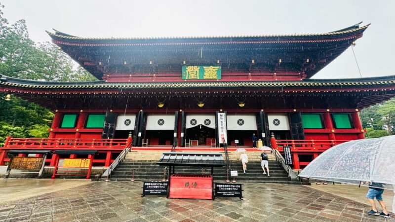 Tokyo/yokohama: Full Day Nikko Private Sightseeing Trip - Final Thoughts