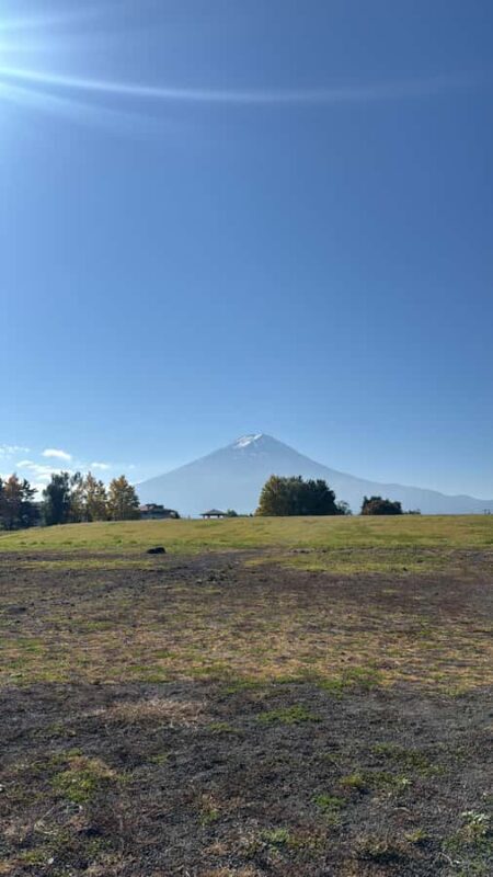Tokyo/Yokohama: Mount Fuji & Hakone Private Full-Day Tour - An In-Depth Look at the Tour Experience