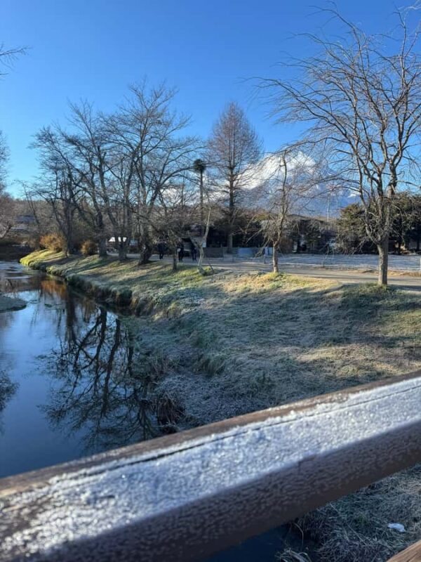 Tokyo/Yokohama: Mount Fuji & Hakone Private Full-Day Tour - Who Will Love This Tour?