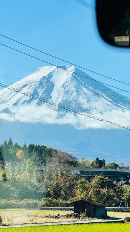Tokyo/Yokohama: Mt. Fuji and Hakone Private Day Trip - Key Points