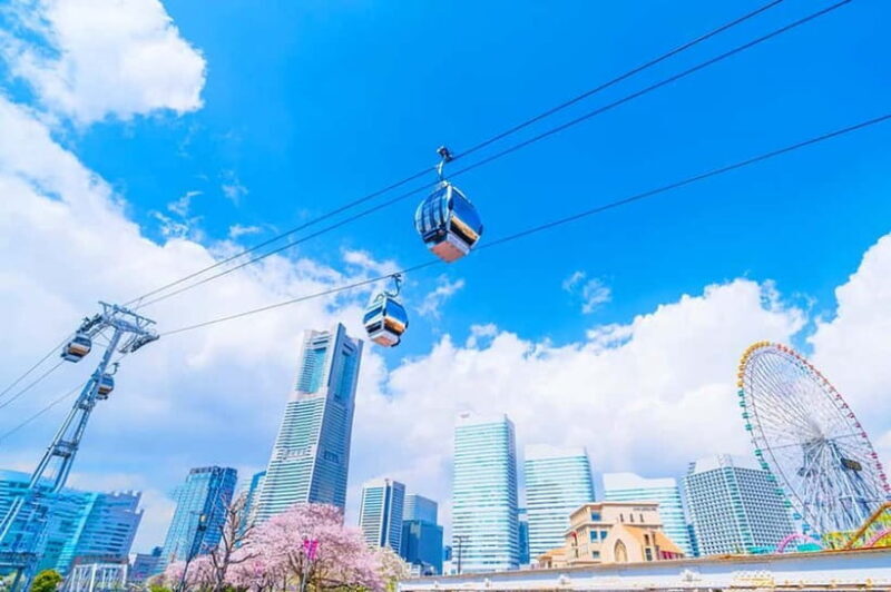 Tokyo Yokohama Night View Tour With Kamakura And Enoshima - Authentic Experiences From Reviewers