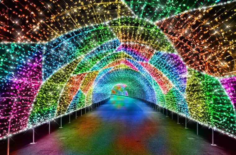 tokyo-yomiuriland-after-pass-for-foreigners-only