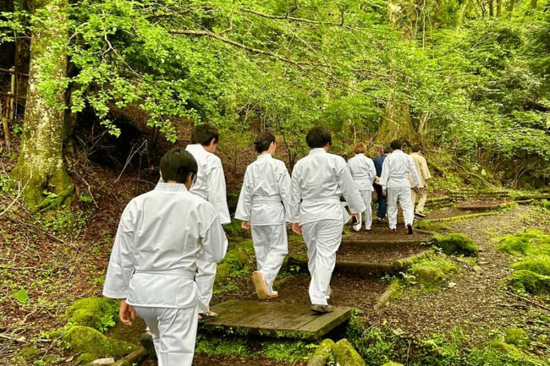 Tokyo: Yuhi no Taki Waterfall Meditation Experience - Practical Details & Tips