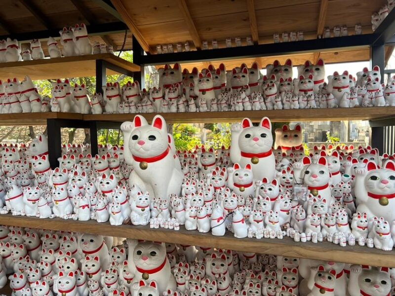 tokyoan-unique-temple-walking-tour-for-cat-lovers