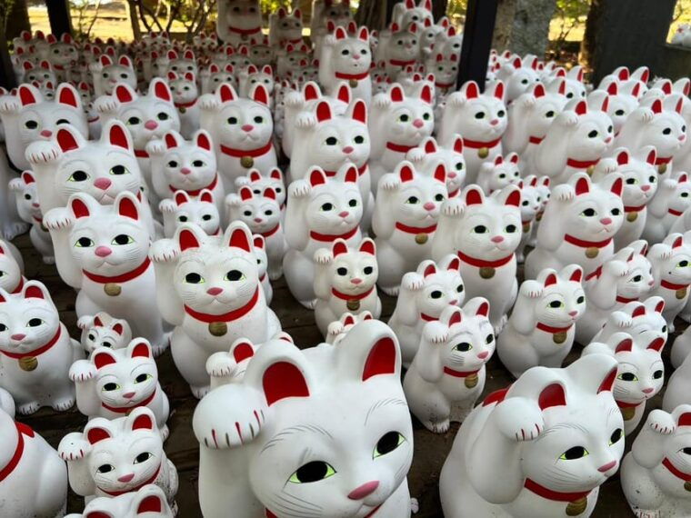 tokyoan-unique-temple-walking-tour-for-cat-lovers