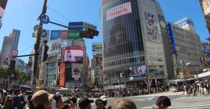 TokyoCalligraphy & Zen Mindful Journey+Take Home Memory - Who Will Love This Experience